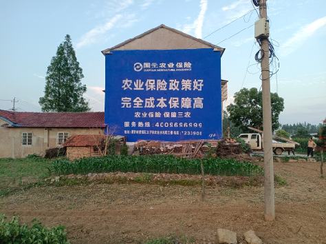 云县墙体广告为何受追捧？